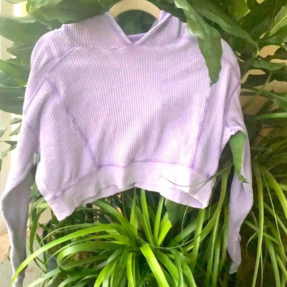 💅🏽Purple Cropped Sweatshirt💅🏽 - Picture 1 of 3